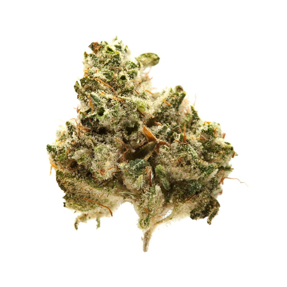 Galactic Glue