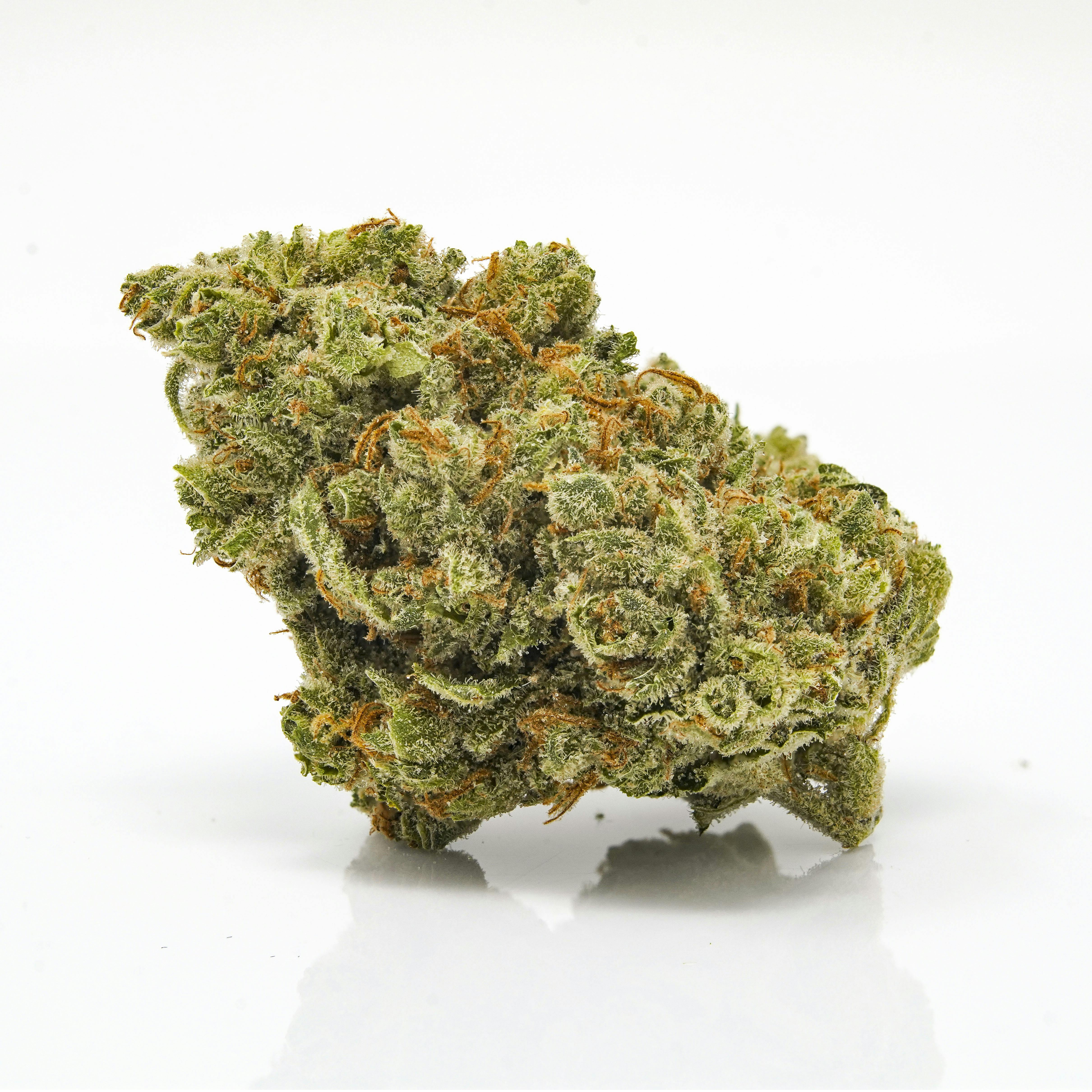 SugarTop Buddery: Lodi Dodi