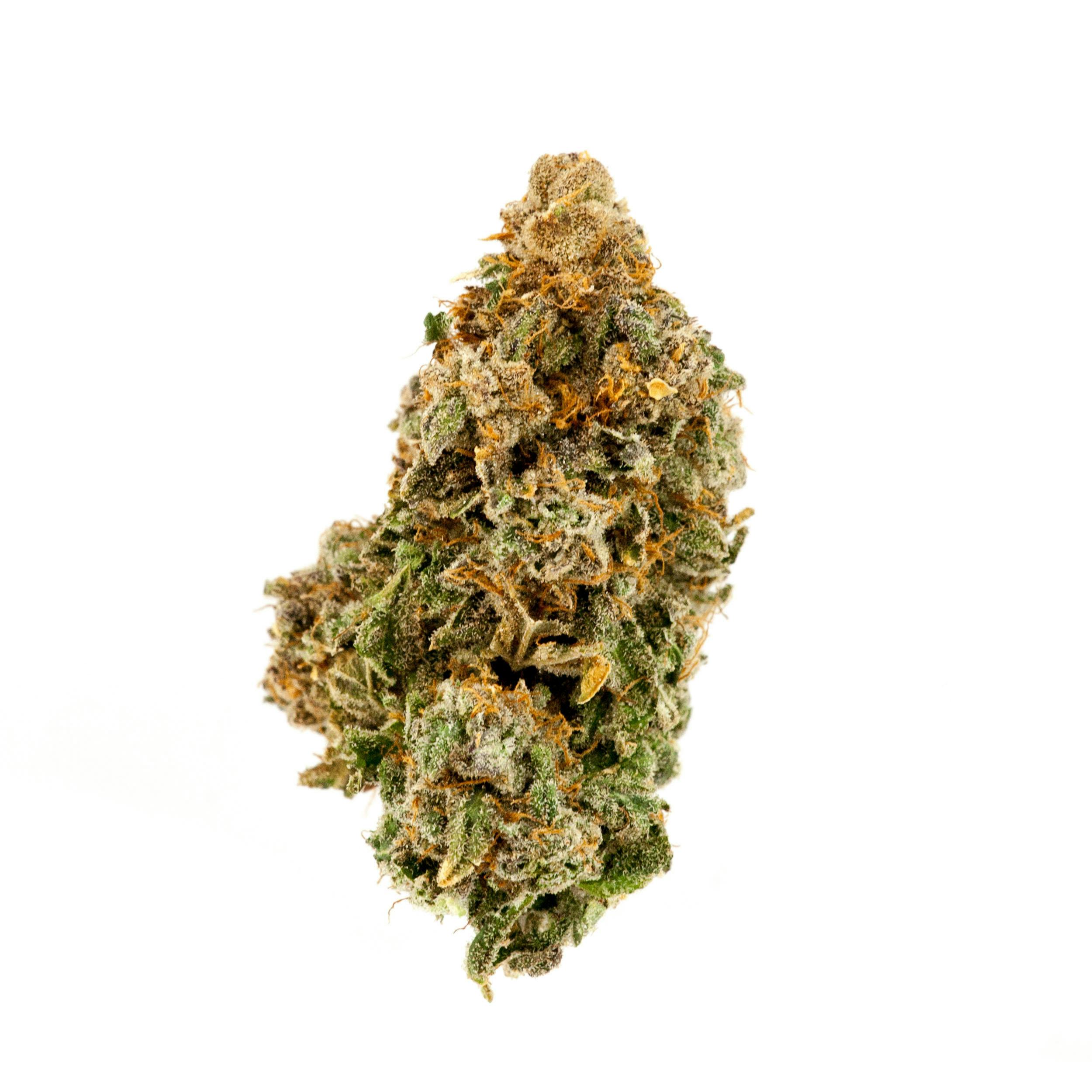 Brandywine by Khush Kush