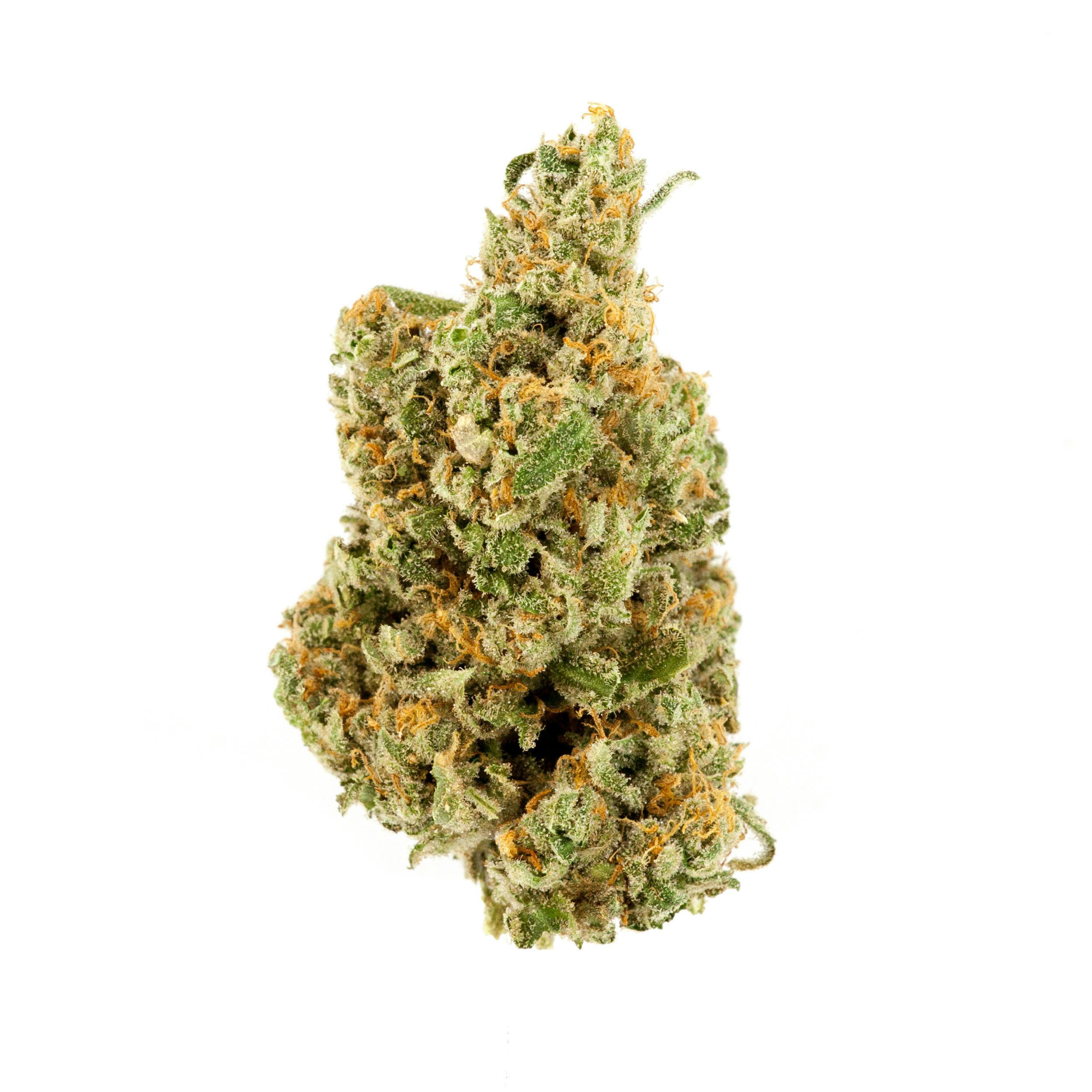 Clementine by Khush Kush