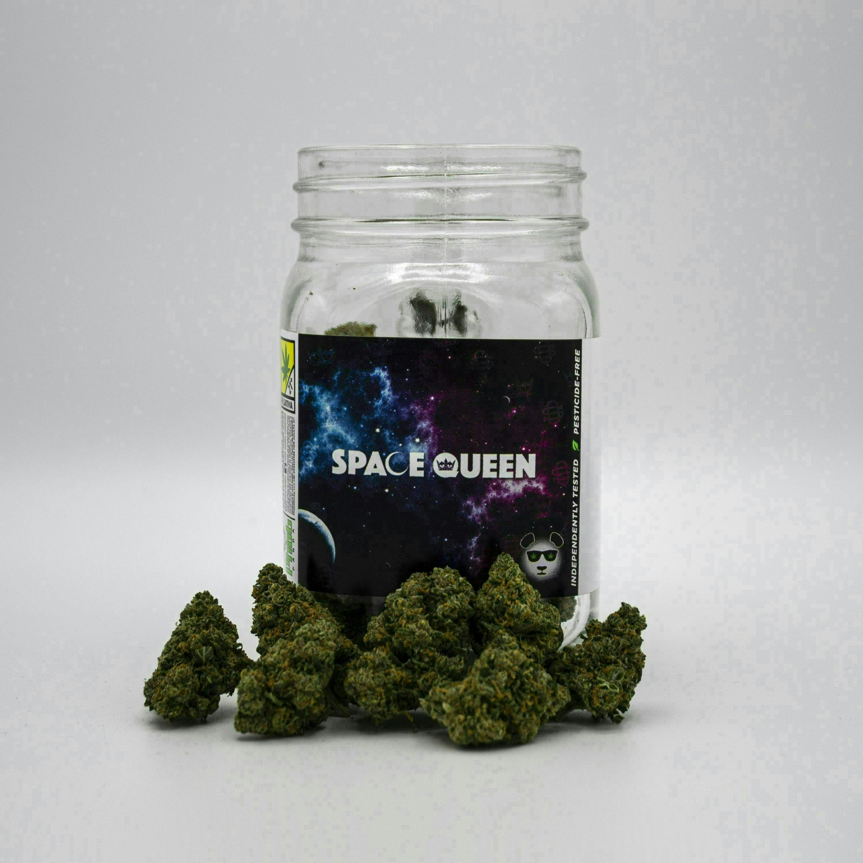 Space Queen | Big Buds | 3.5g - Phat Panda