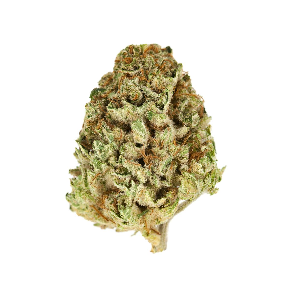 Raw Diesel