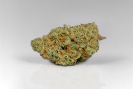 Super Lemon Haze