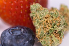 Tundra Berry