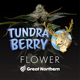Great Northern Cannabis Tundra Berry Flower (Indica)