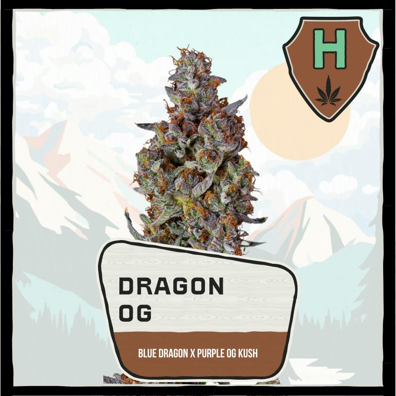 Dragon OG Buds by Avitas