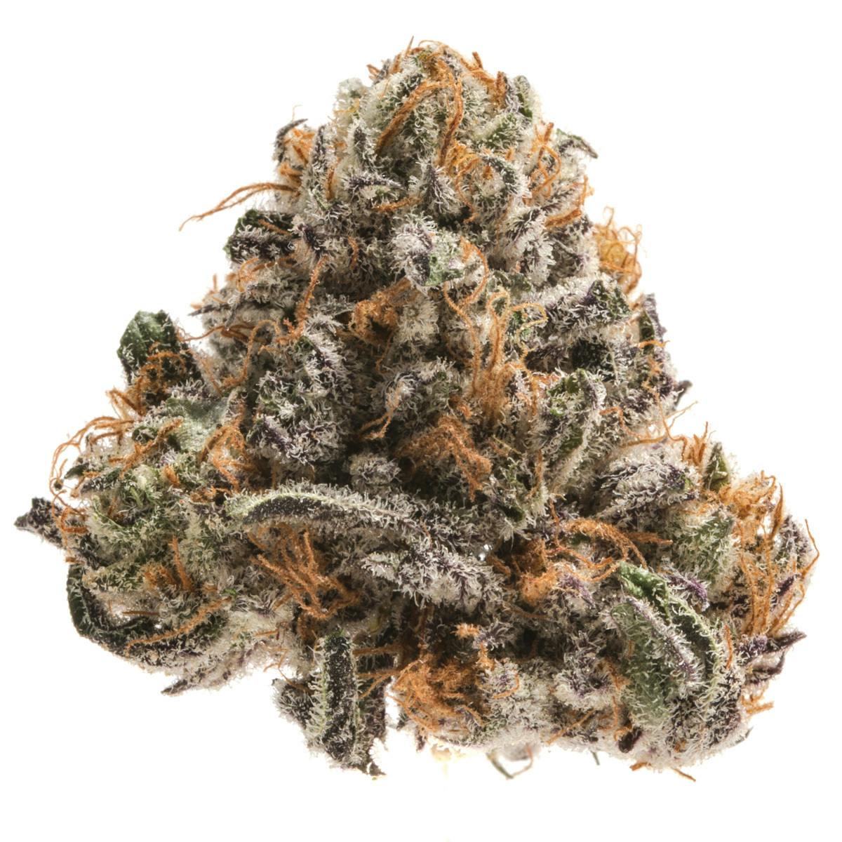 Obama Kush - Trichome Farms