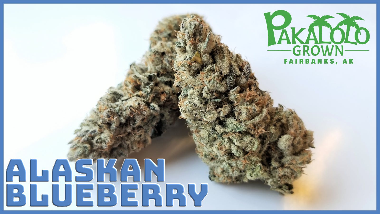 PSC | Alaskan Blueberry | Flower | 3.5G at Country Cannabis
