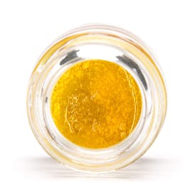 Harmony Live Sugar