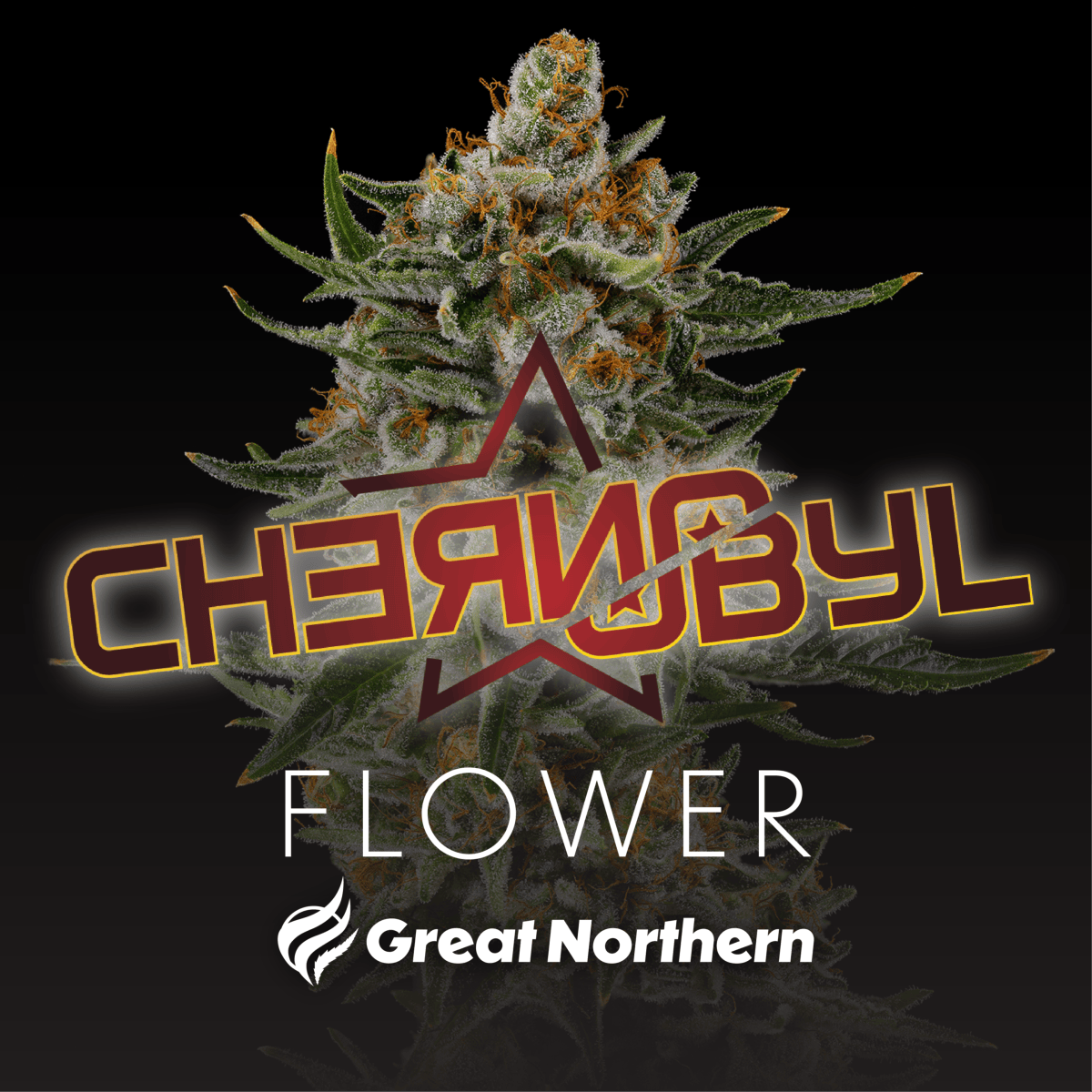 Chernobyl Flower Sativa
