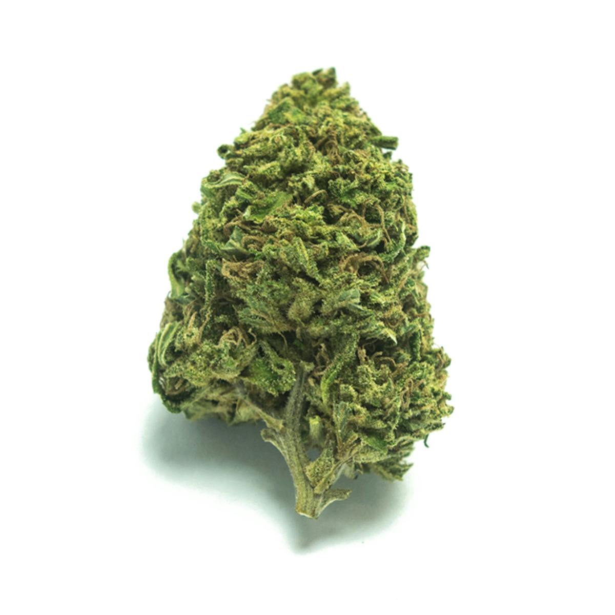 PURE KUSH: Pure Kush