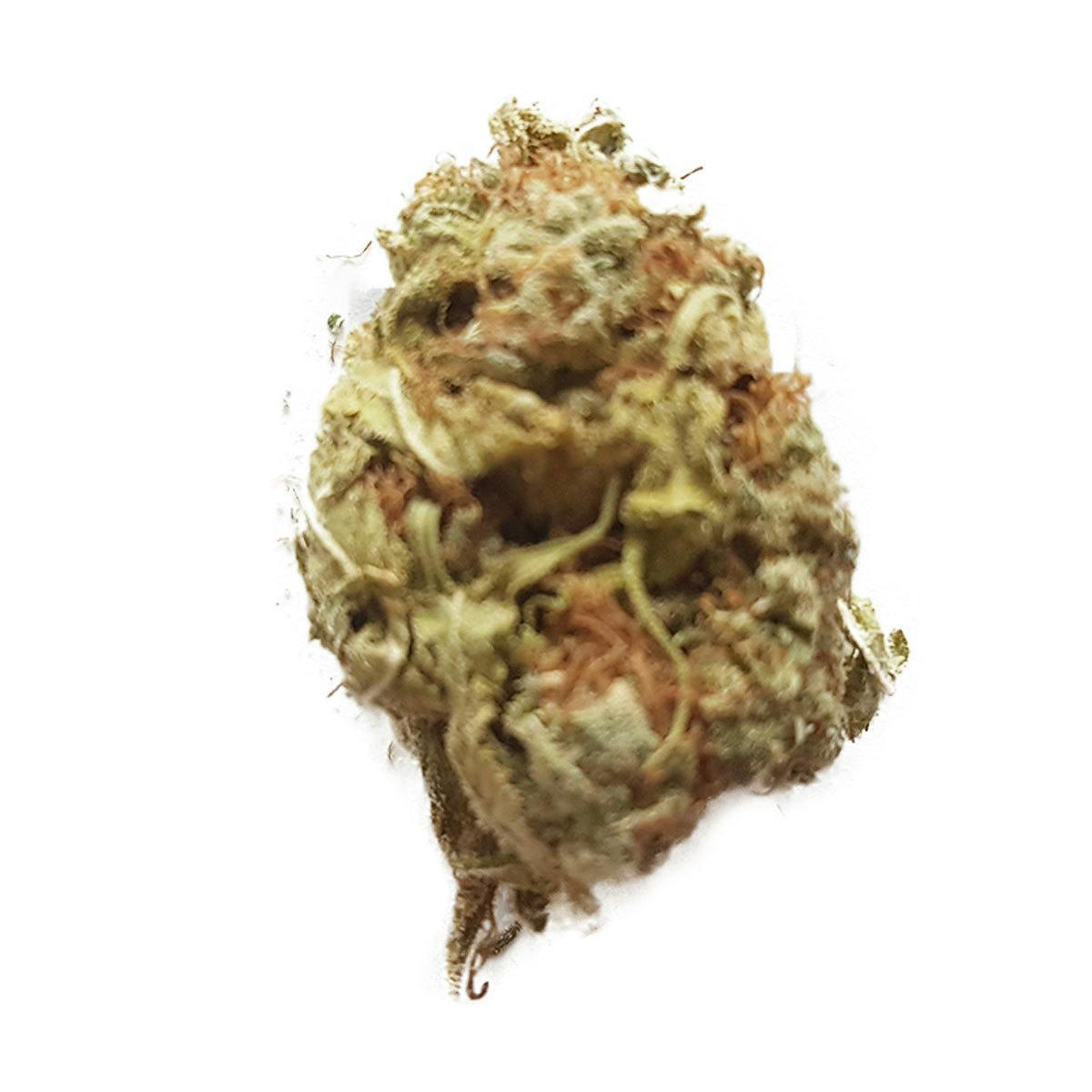 SILVER HAZE: Silver Haze