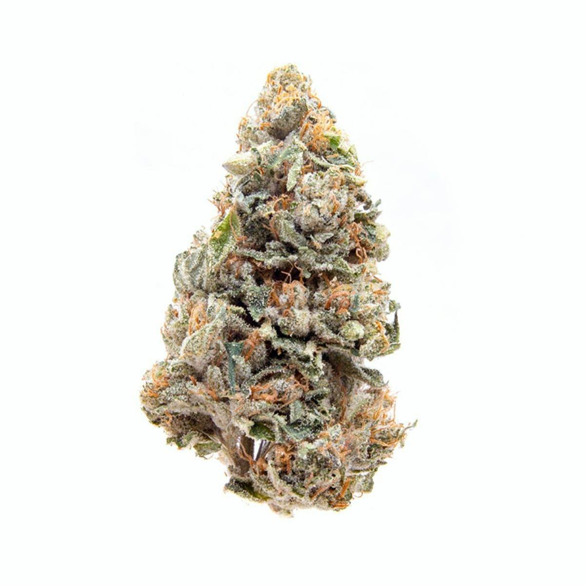 Angel OG - Natty Rems