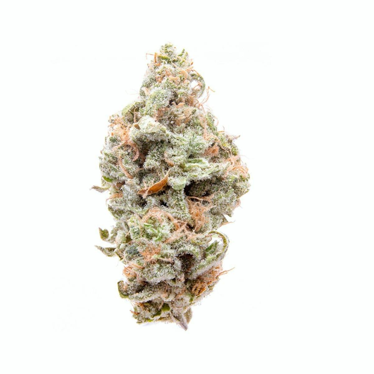 Grape Stomper - Natty Rems