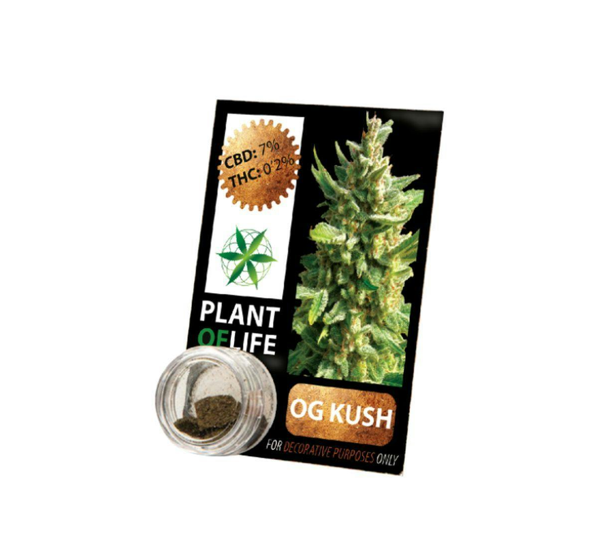 1513157364-og_kush.jpg
