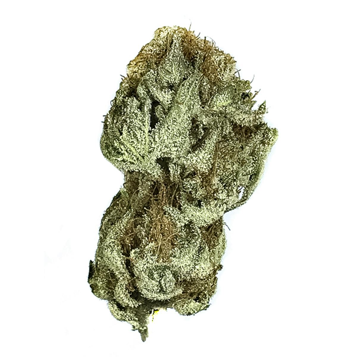 新しい Shangri-La Weed Weedmaps | Information Strain その他