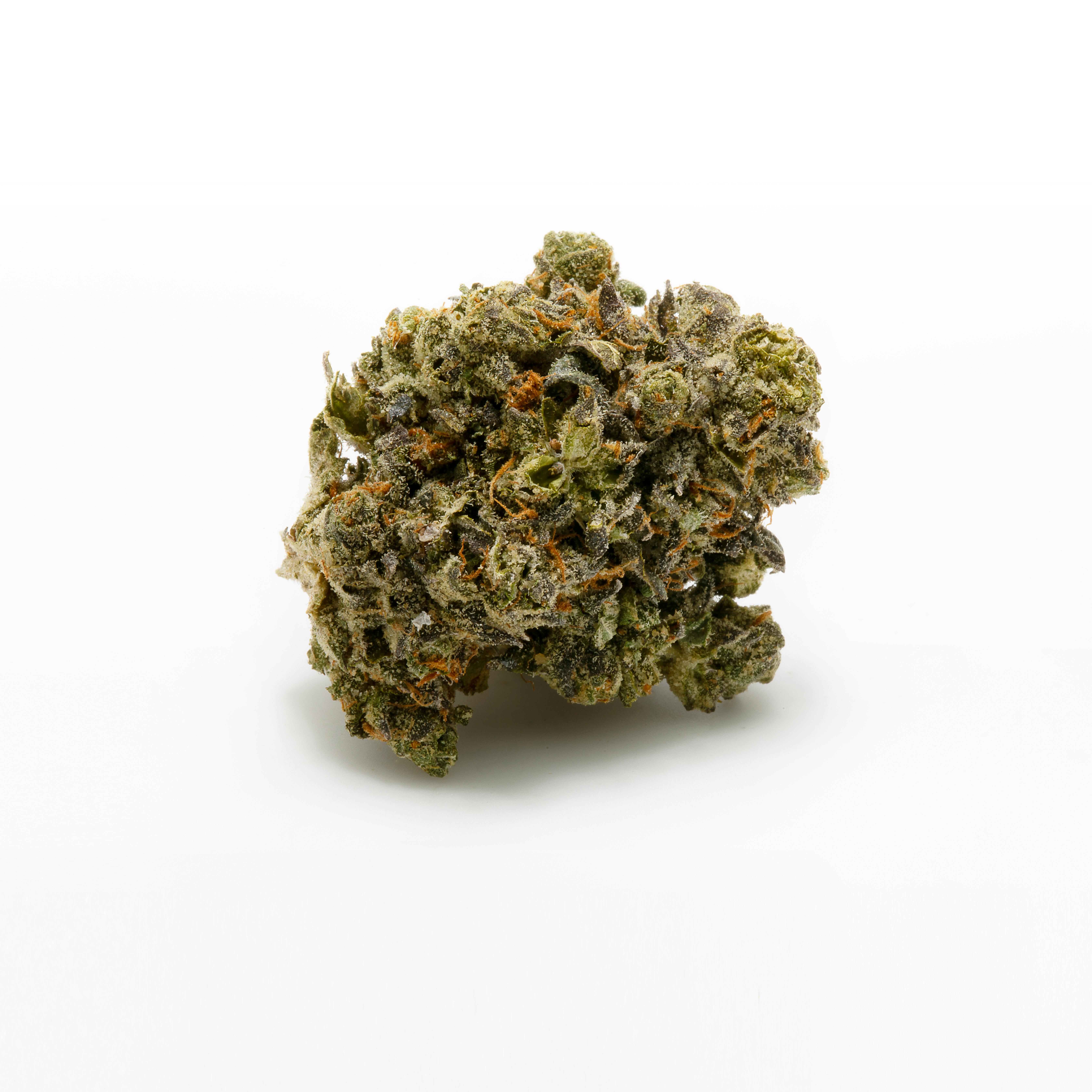 Gelato