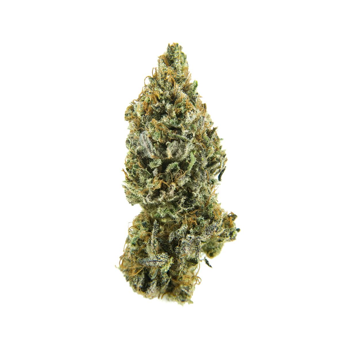 Critical Mass CBD