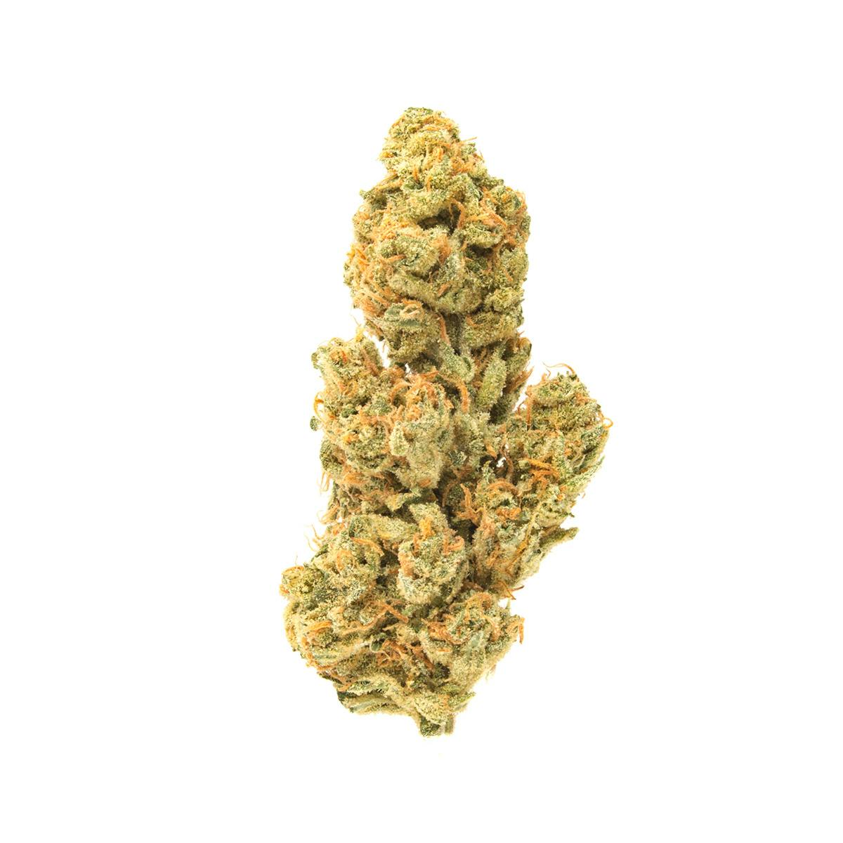 LSD at FIVE BUDS CANNABIS COMPANY