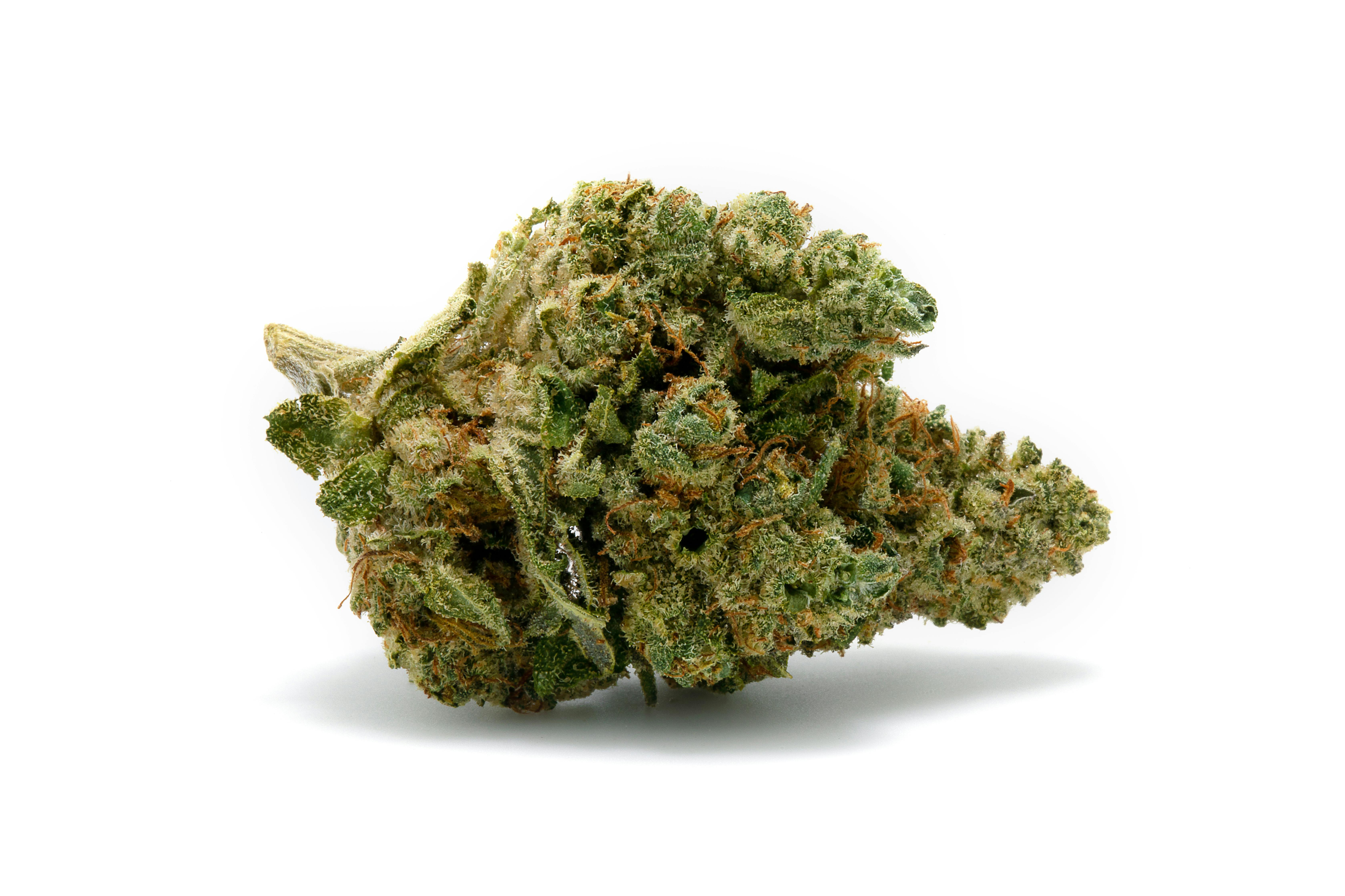 Purple Kush