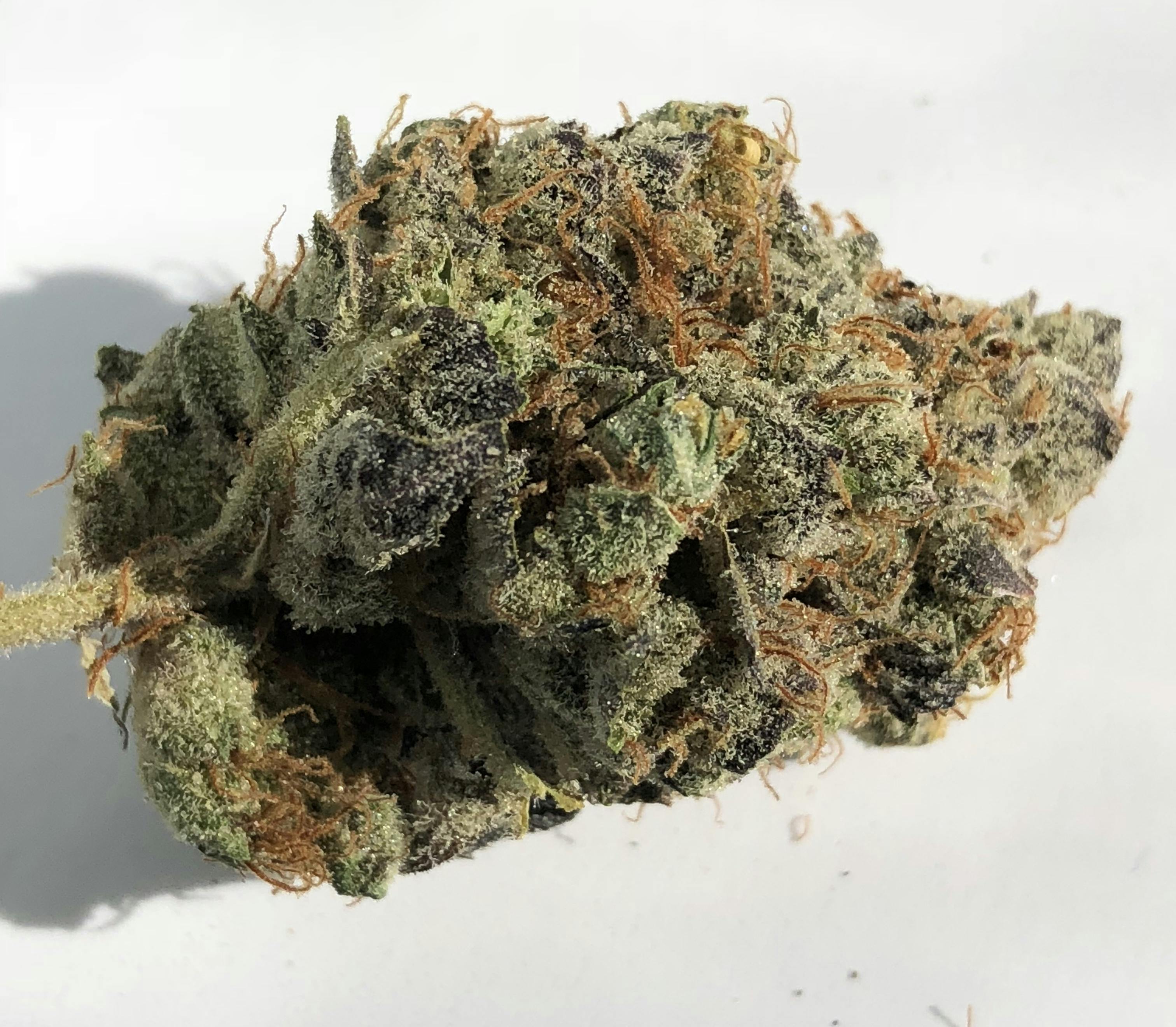 Garlic Cookies Detroit Growers Extracts