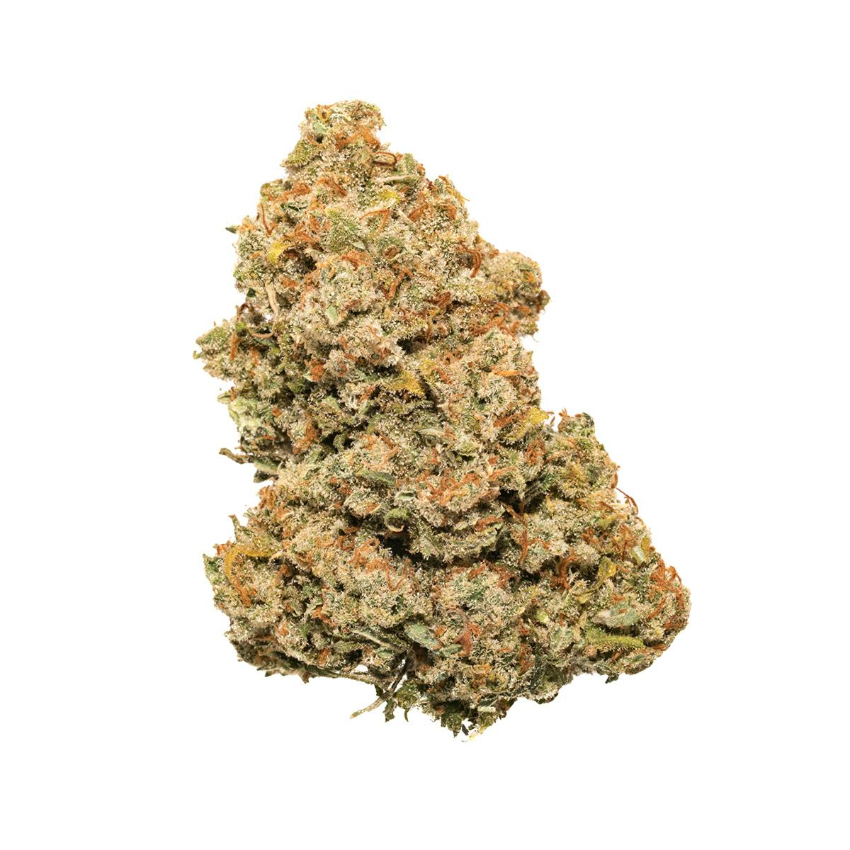 Jack Herer: Jack Herer