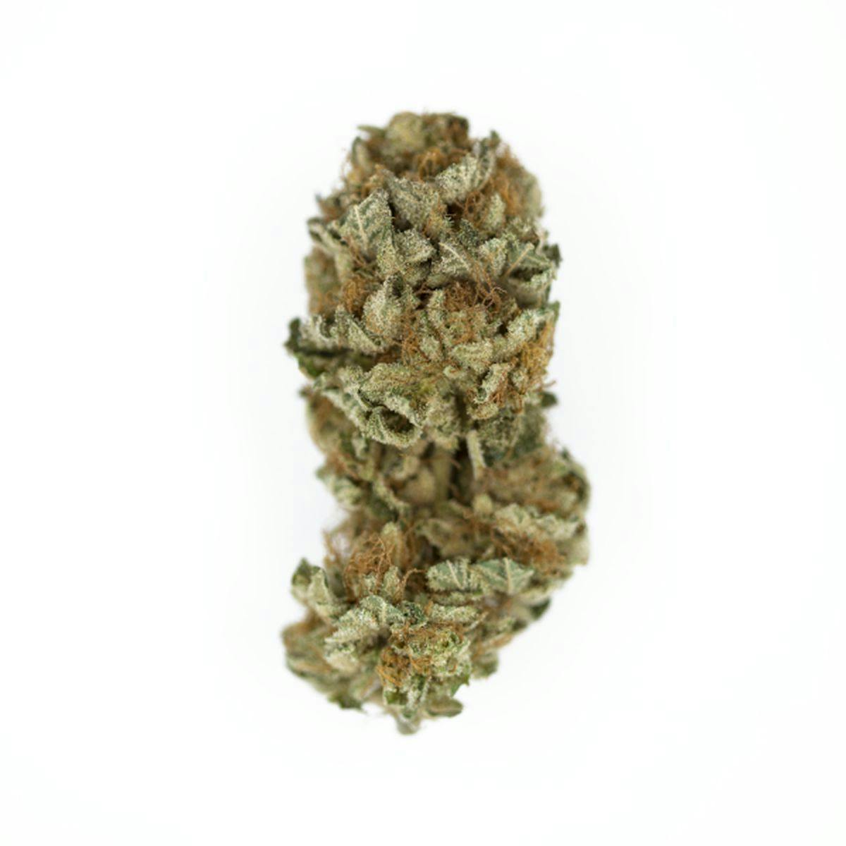Royal Cookies at Green Apple Cannabis