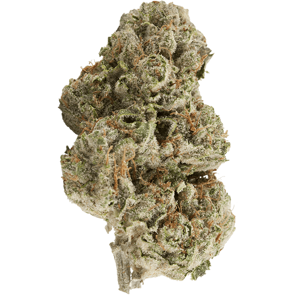 SFV OG