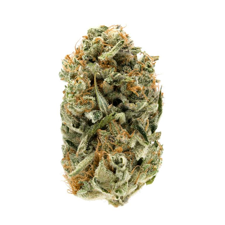 Bruce Banner #3 - Heavenly Buds