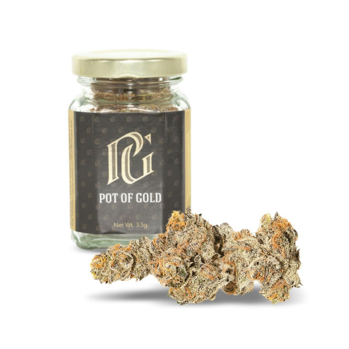 Girl Scout Cookies