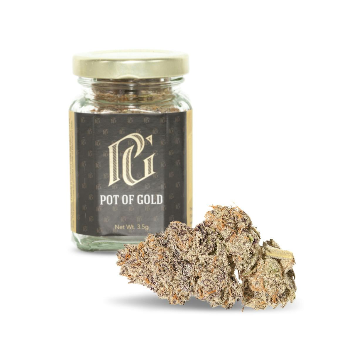 Purple Punch
