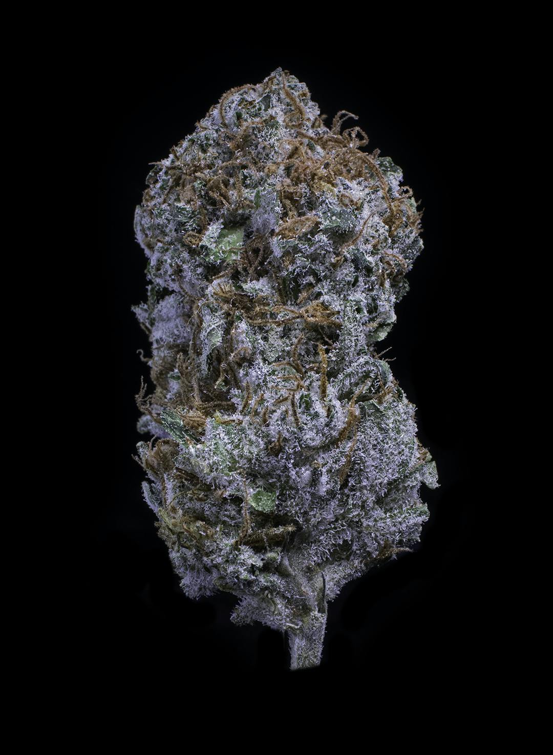 Pacific Blue