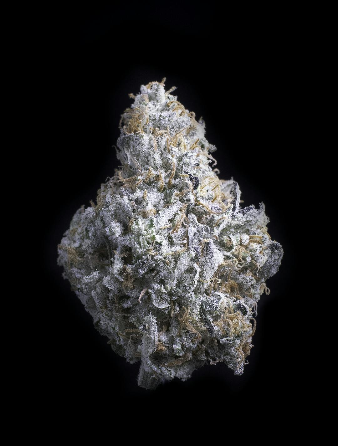 Diesel Thai by Falcanna