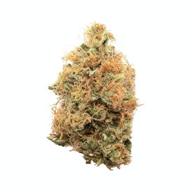 Golden Goat