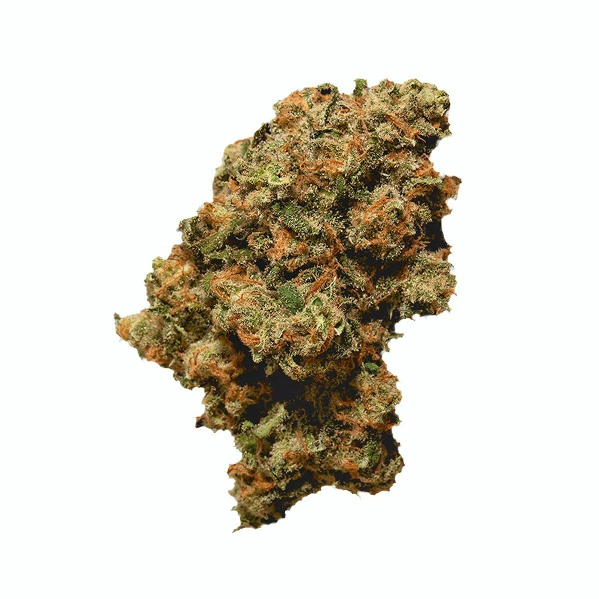 Jack Flash - Natty Rems