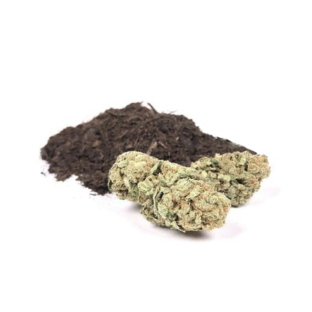 Yin Yang