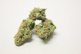 Tangie