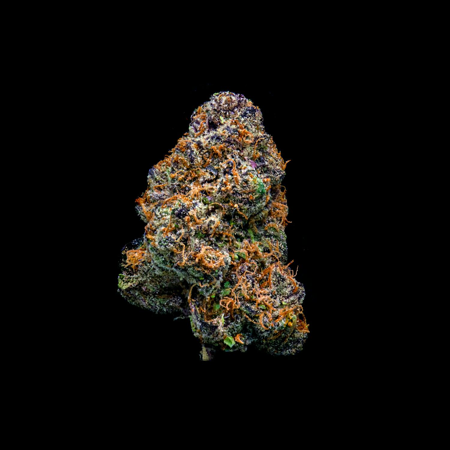 Pacifier x Apple Juice CommCan