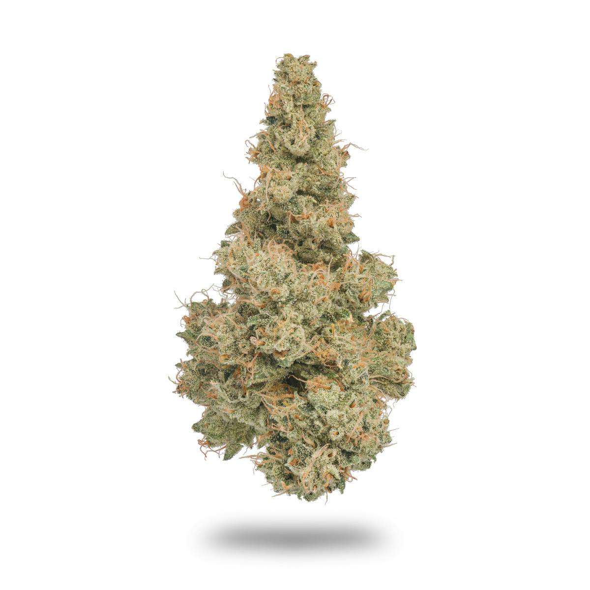Durban Poison