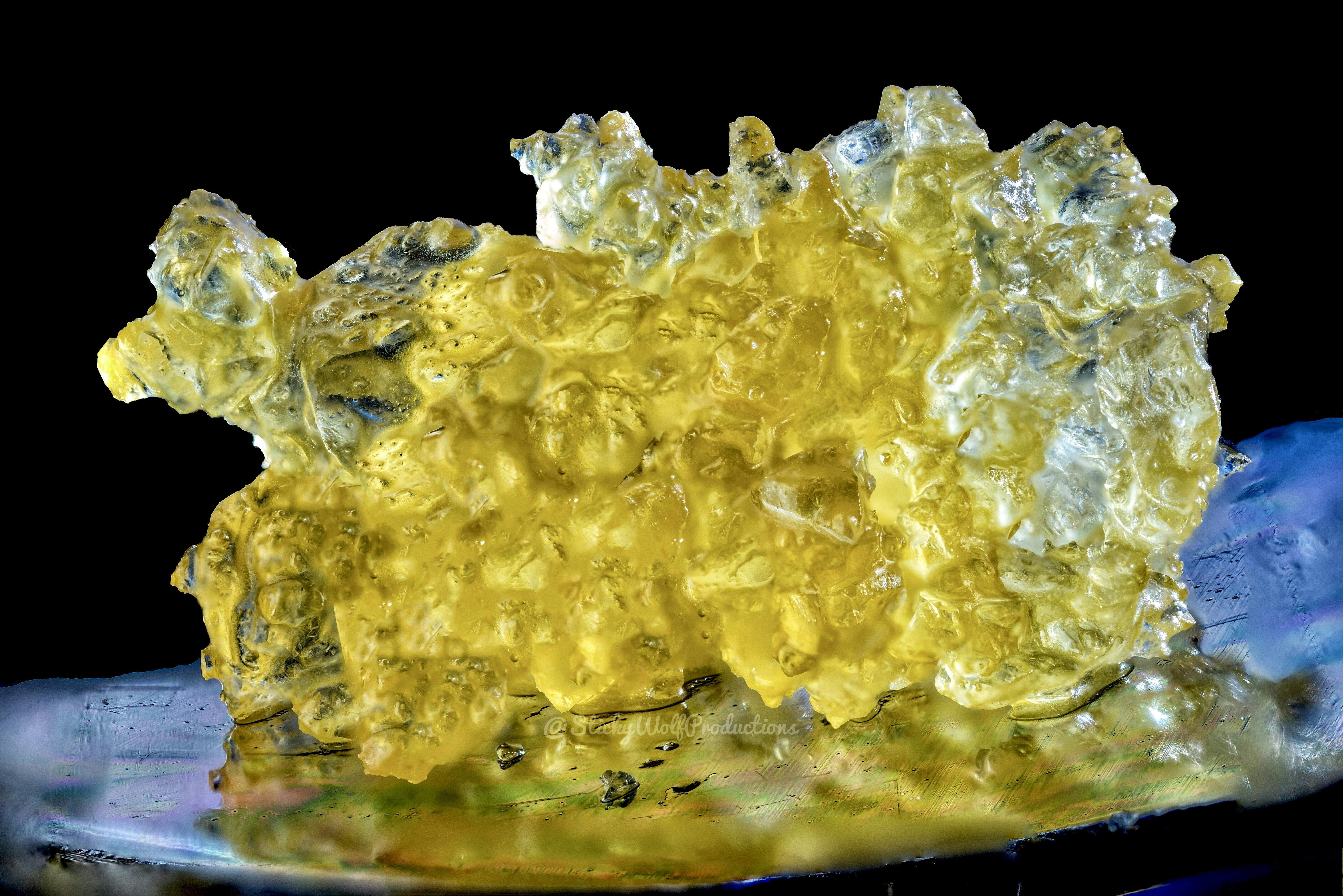Live Sugar