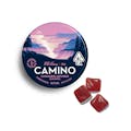 Camino | "Chill" Wild Berry | 100MG Gummies