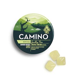 Camino Sparkling Pear CBD "Social" Gummies