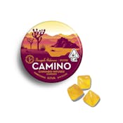 [REC] Camino | Pineapple Habanero "Uplifting" | 20pk/100mg Soft Chews