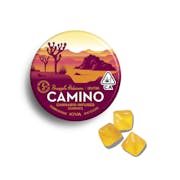 CAMINO | "Uplifting" Pineapple Habanero | 100MG
