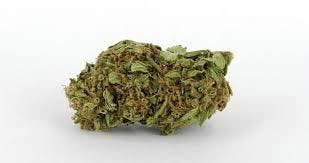 Hindu Kush