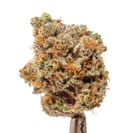 Purple Trainwreck