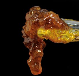 Tangie Sugarwax