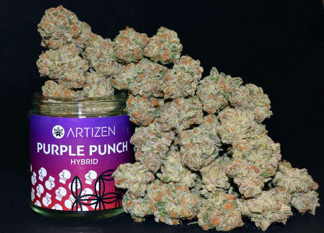 Purple Punch