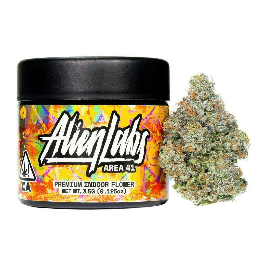 Alien Labs: Area 41