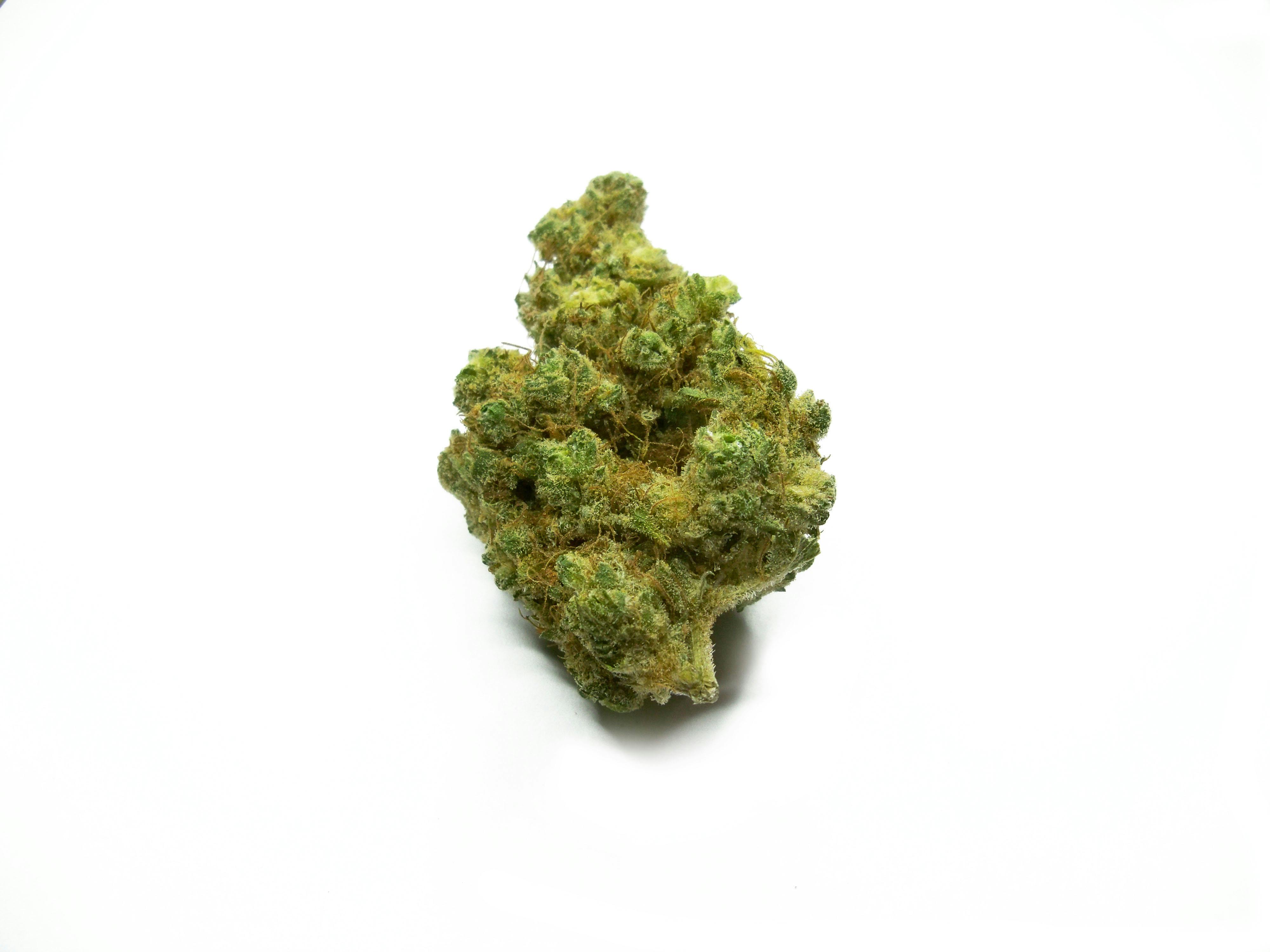 Alien Rift by Sanctuary Medicinals